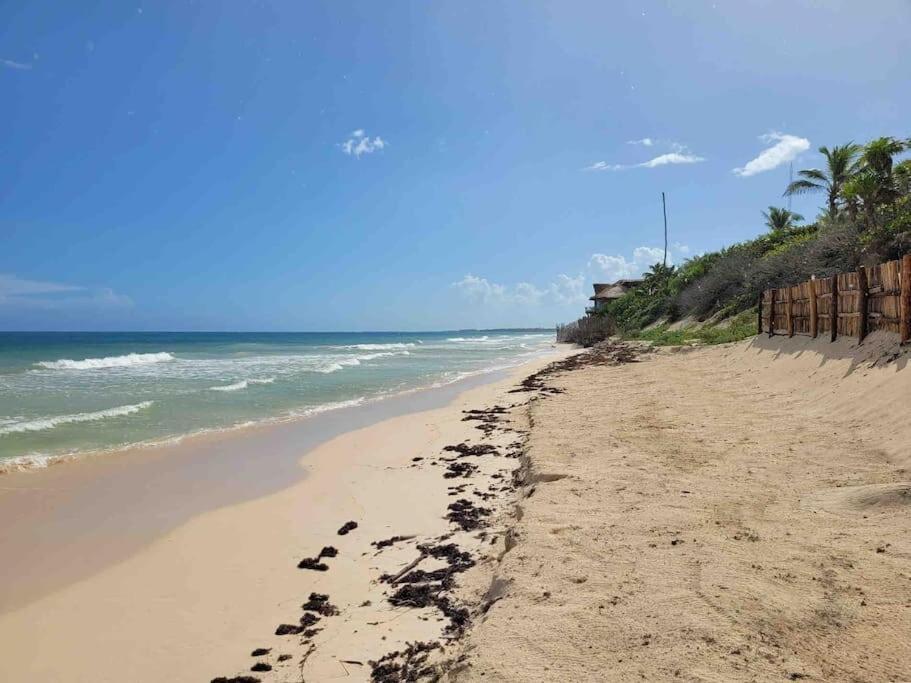 Luxury 5-Br Beachfront Home In Tulum Casa Sofia Gato Exterior foto